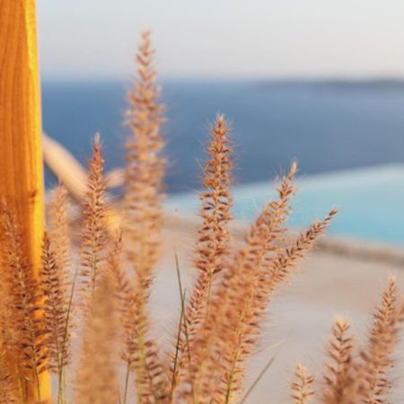Birdhouse Private Luxury Suite Agios Ioannis Diakoftis エクステリア 写真