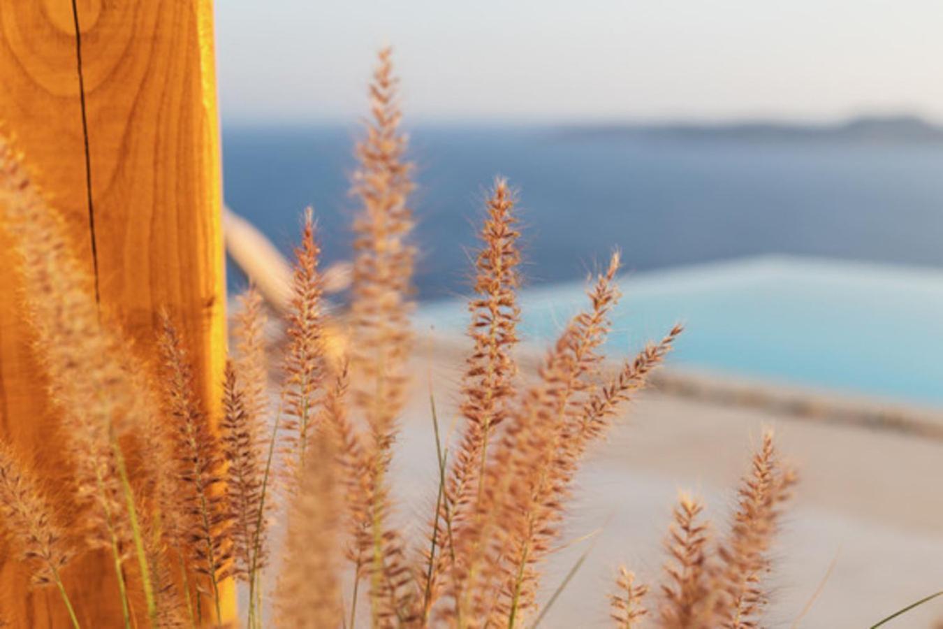 Birdhouse Private Luxury Suite Agios Ioannis Diakoftis エクステリア 写真